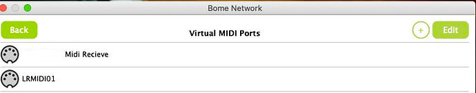 Bome (Mac) Virtual Midi Ports (Masked)