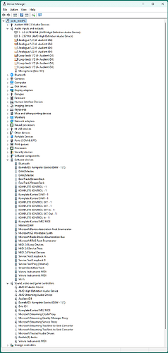 WIndows 11 Device Manager.png